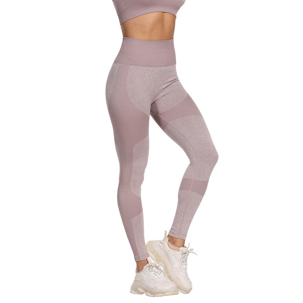 Exercise Leggings for Women  Seamless High Waist Leggings